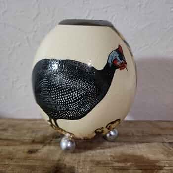 61ldaR+PzgL._AC_UF350,